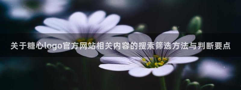 糖心vlog免费在线观看