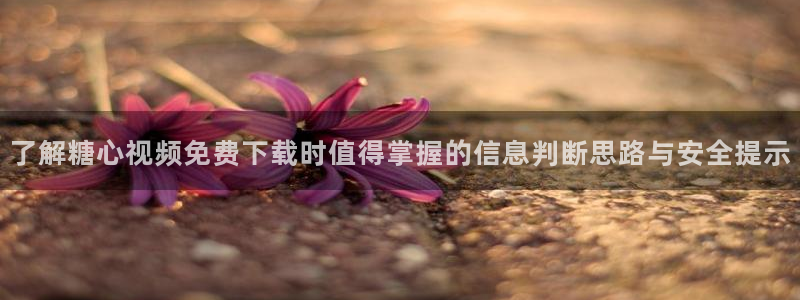 糖心代表作视频