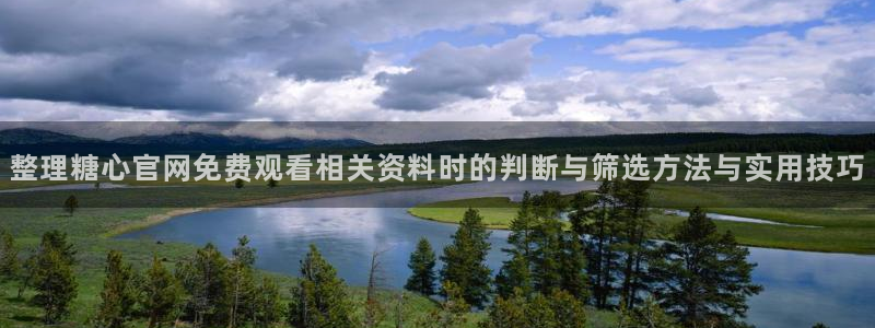 糖心视频官网