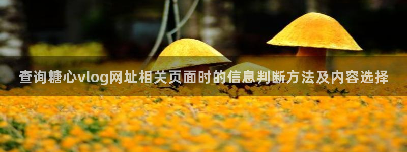 糖心在线看:查询糖心vlog网址相关页面时的信息判断方法及内容选择