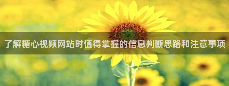 糖心传媒