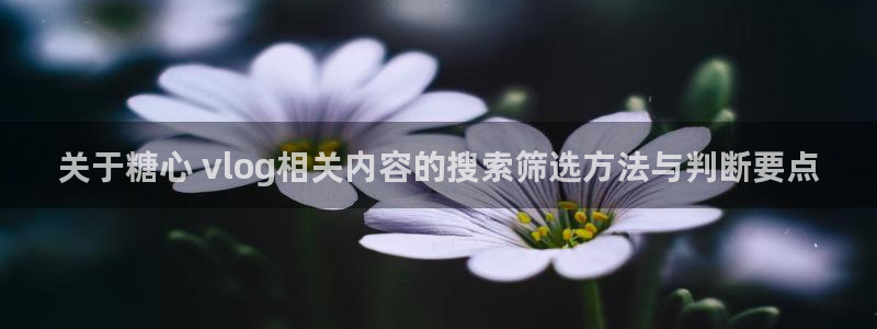 糖心vlog网址进入：关于糖心 vlog相关内容的搜索筛选方法与判断要点