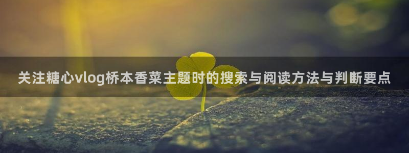 心糖logo官网入口网页