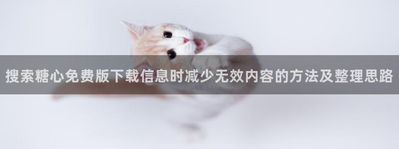 糖心传媒在线观看