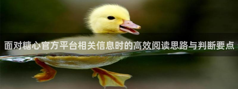 糖心vlog破解版下载